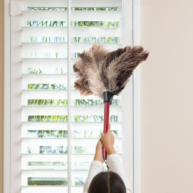 Plumeau en Plumes d’Autruche Naturelles – Gris