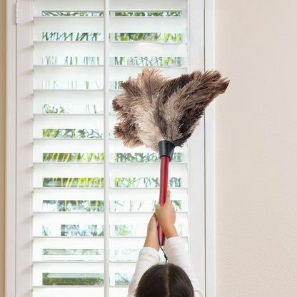 Plumeau en Plumes d’Autruche Naturelles – Gris
