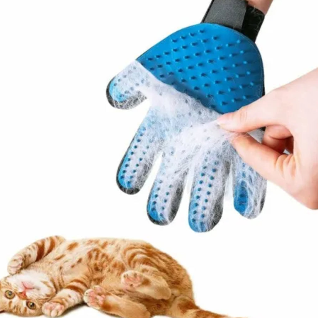 Gant de Toilettage pour Chat en Silicone – Anti-Poils pour Chats et Petits Chiens